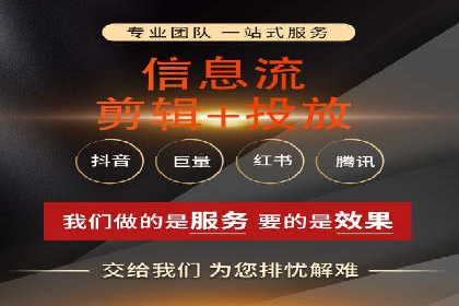 短视频平台的SEM推广实践与效果